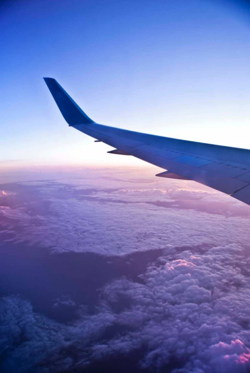 Flight